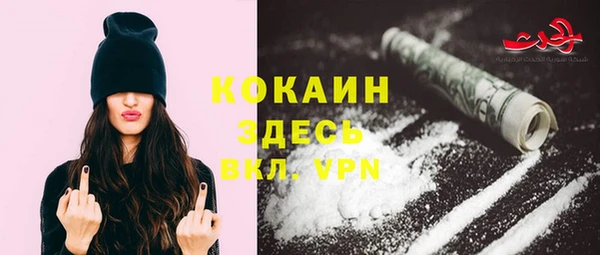 2c-b Новозыбков