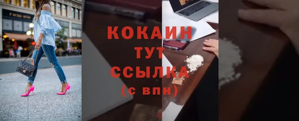 2c-b Новозыбков
