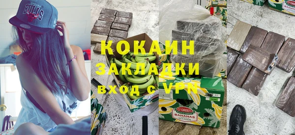 2c-b Новозыбков